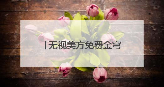 无视美方免费金穹“诱惑” 加拿大转向欧洲谋国防合作