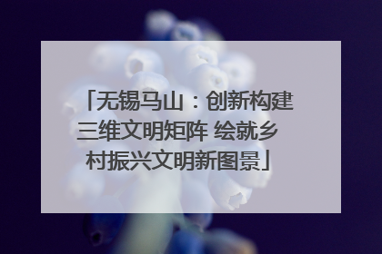 无锡马山：创新构建三维文明矩阵 绘就乡村振兴文明新图景