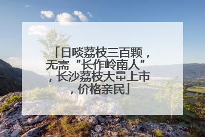 日啖荔枝三百颗，无需“长作岭南人”，长沙荔枝大量上市，价格亲民