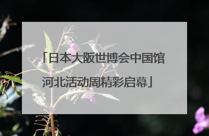 日本大阪世博会中国馆河北活动周精彩启幕