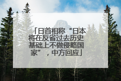 日首相称“日本将在反省过去历史基础上不做侵略国家”，中方回应
