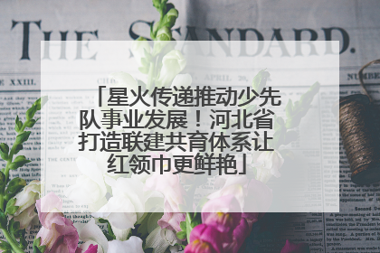 星火传递推动少先队事业发展！河北省打造联建共育体系让红领巾更鲜艳