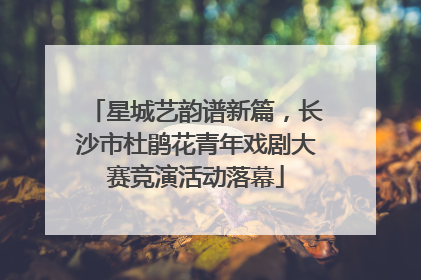 星城艺韵谱新篇，长沙市杜鹃花青年戏剧大赛竞演活动落幕