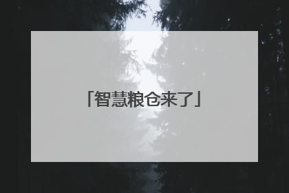 智慧粮仓来了