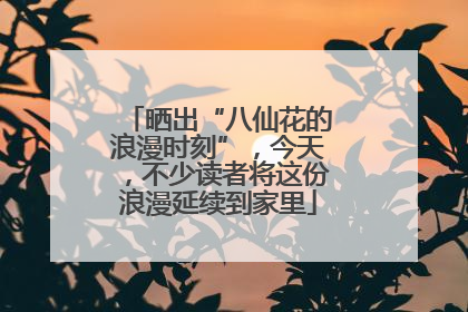晒出“八仙花的浪漫时刻”，今天，不少读者将这份浪漫延续到家里