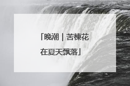 晚潮｜苦楝花在夏天飘落