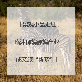 景观小品走红，临沭柳编藤编产业成文旅“新宠”