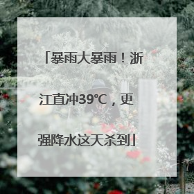 暴雨大暴雨！浙江直冲39℃，更强降水这天杀到