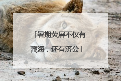 暑期荧屏不仅有藏海，还有济公