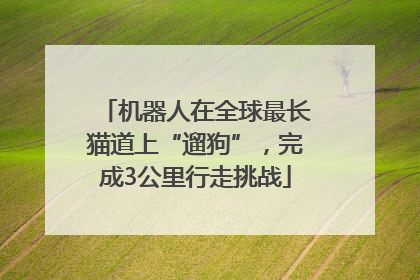 机器人在全球最长猫道上“遛狗”，完成3公里行走挑战