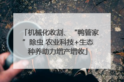机械化收割、“鸭管家”除虫 农业科技+生态种养助力增产增收