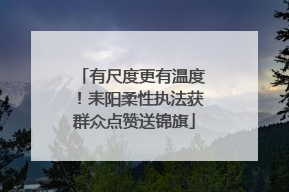 有尺度更有温度！耒阳柔性执法获群众点赞送锦旗