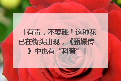 有毒，不要碰！这种花已在街头出现，《甄嬛传》中也有“科普”
