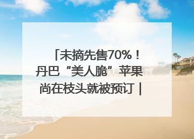 未摘先售70%！丹巴“美人脆”苹果尚在枝头就被预订｜长征路上看四川