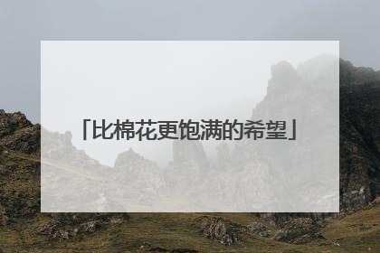 比棉花更饱满的希望