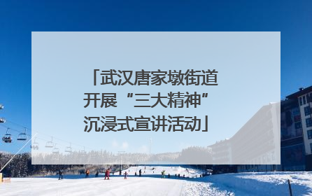 武汉唐家墩街道开展“三大精神”沉浸式宣讲活动