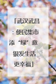 武汉武昌：便民集市添“绿”意 银发生活更幸福