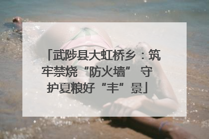 武陟县大虹桥乡：筑牢禁烧“防火墙” 守护夏粮好“丰”景