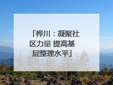 桦川：凝聚社区力量 提高基层整理水平