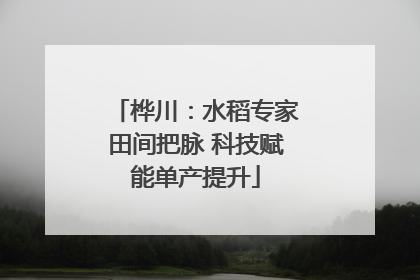 桦川：水稻专家田间把脉 科技赋能单产提升