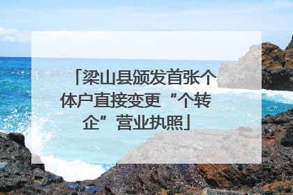 梁山县颁发首张个体户直接变更“个转企”营业执照