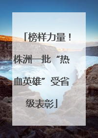 榜样力量！株洲一批“热血英雄”受省级表彰
