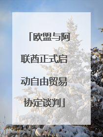 欧盟与阿联酋正式启动自由贸易协定谈判