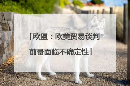 欧盟：欧美贸易谈判前景面临不确定性