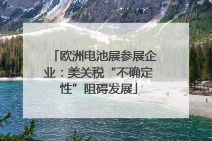 欧洲电池展参展企业：美关税“不确定性”阻碍发展