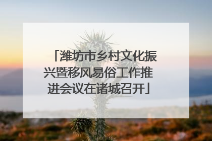 潍坊市乡村文化振兴暨移风易俗工作推进会议在诸城召开