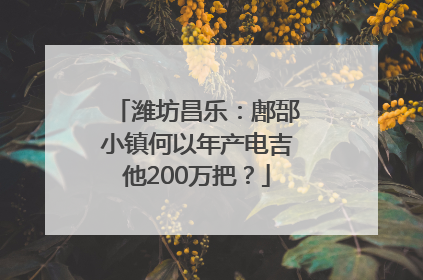 潍坊昌乐：鄌郚小镇何以年产电吉他200万把？