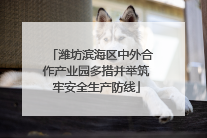 潍坊滨海区中外合作产业园多措并举筑牢安全生产防线