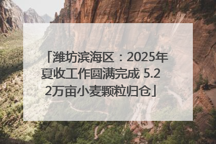 潍坊滨海区：2025年夏收工作圆满完成 5.22万亩小麦颗粒归仓