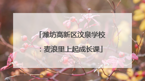 潍坊高新区汶泉学校：麦浪里上起成长课