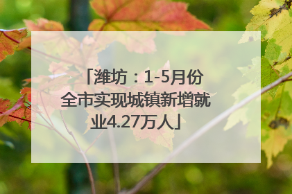 潍坊：1-5月份全市实现城镇新增就业4.27万人