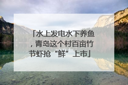水上发电水下养鱼，青岛这个村百亩竹节虾抢“鲜”上市