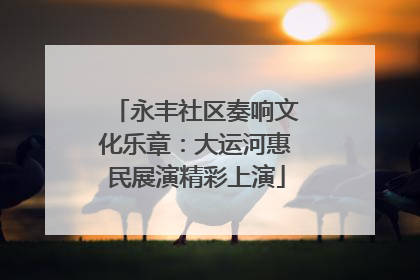 永丰社区奏响文化乐章：大运河惠民展演精彩上演