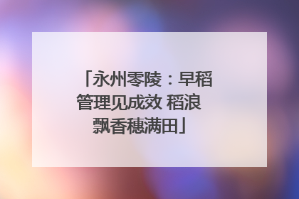 永州零陵：早稻管理见成效 稻浪飘香穗满田