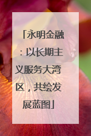 永明金融：以长期主义服务大湾区，共绘发展蓝图
