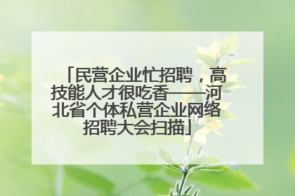 民营企业忙招聘，高技能人才很吃香——河北省个体私营企业网络招聘大会扫描