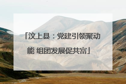 汶上县：党建引领聚动能 组团发展促共富