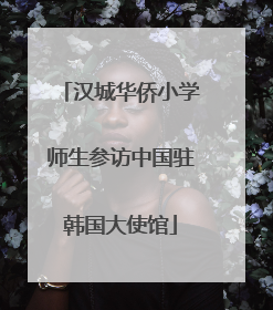 汉城华侨小学师生参访中国驻韩国大使馆
