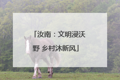汝南：文明浸沃野 乡村沐新风