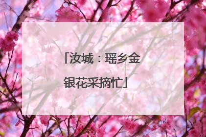 汝城：瑶乡金银花采摘忙