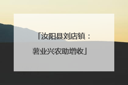 汝阳县刘店镇：薯业兴农助增收