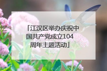 江汉区举办庆祝中国共产党成立104周年主题活动