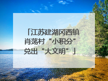 江苏建湖冈西镇肖荡村“小积分”兑出“大文明”