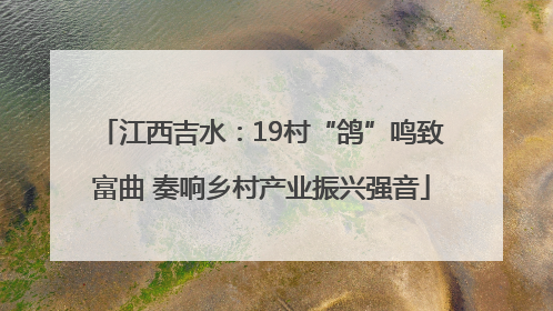 江西吉水：19村“鸽”鸣致富曲 奏响乡村产业振兴强音