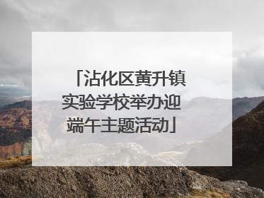 沾化区黄升镇实验学校举办迎端午主题活动