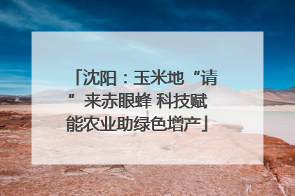 沈阳：玉米地“请”来赤眼蜂 科技赋能农业助绿色增产